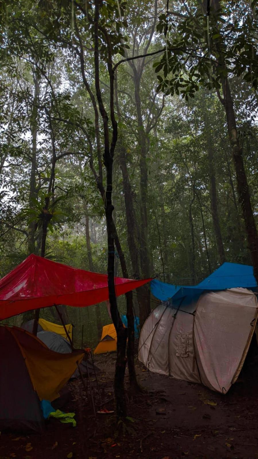 Avocado Homestay Tetebatu Zewnętrze zdjęcie